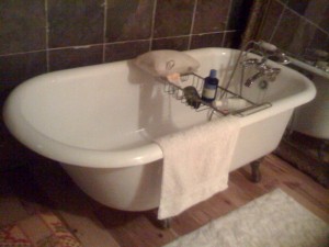 Claw foot Bathtub Refinishing Medusa, New York Albany County